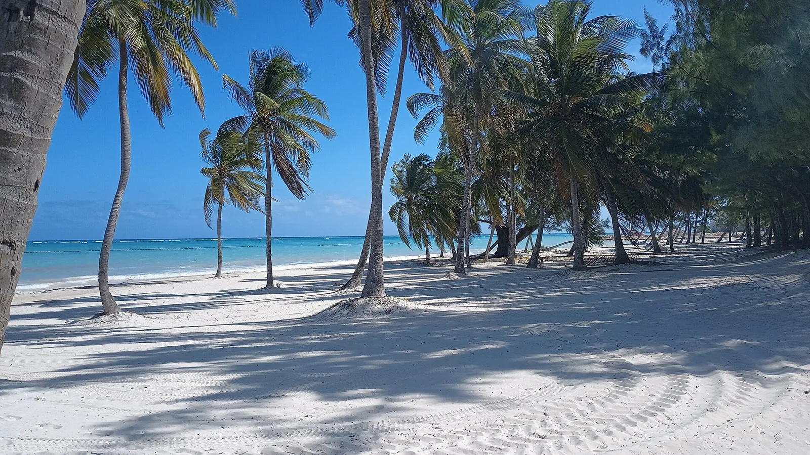 Beach and palm trees at Cap Cana, Dominican Republic