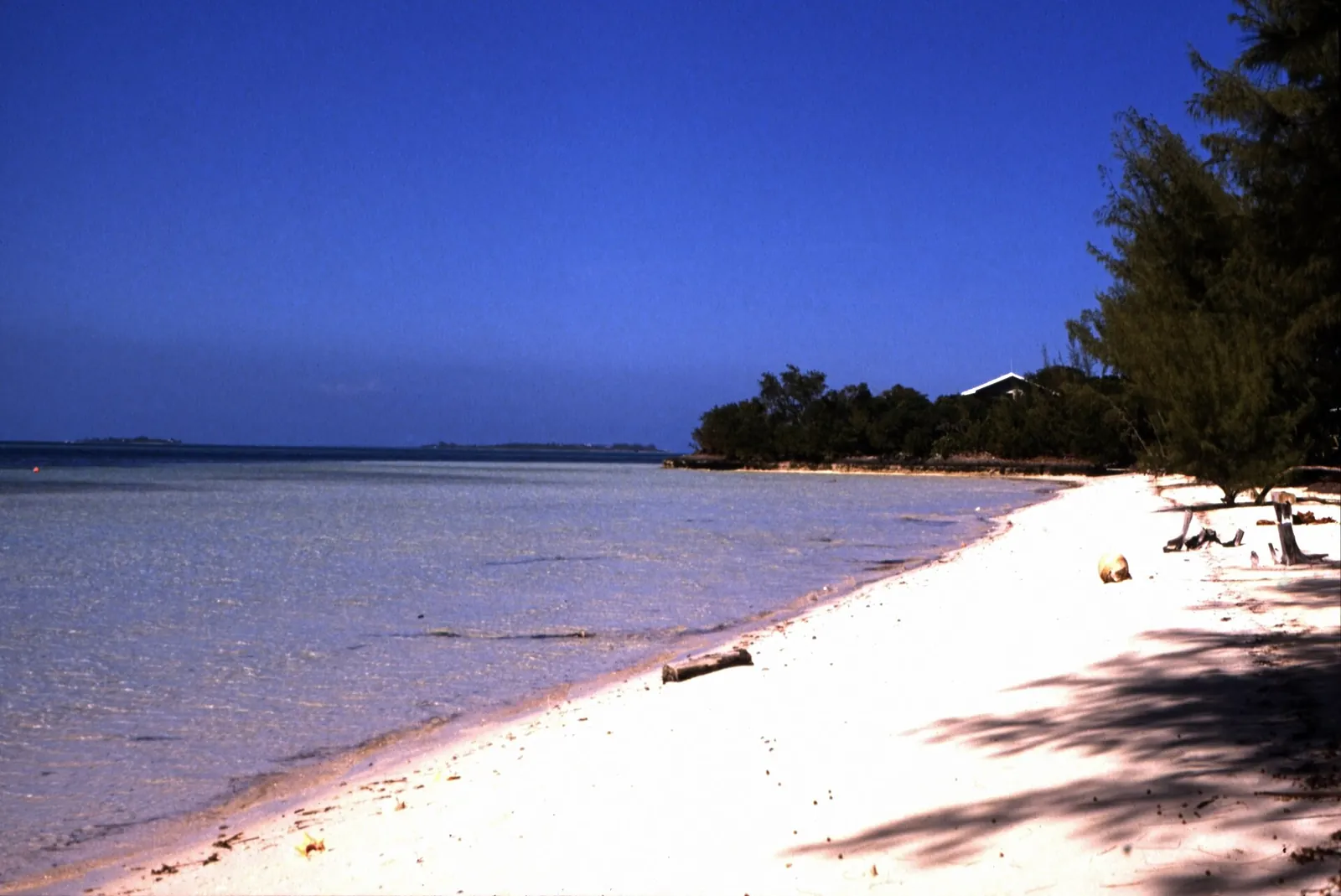 The east-shore beach of Elbow Cay, Abaco, The Bahamas, one of the LUSSO Collection destinations
